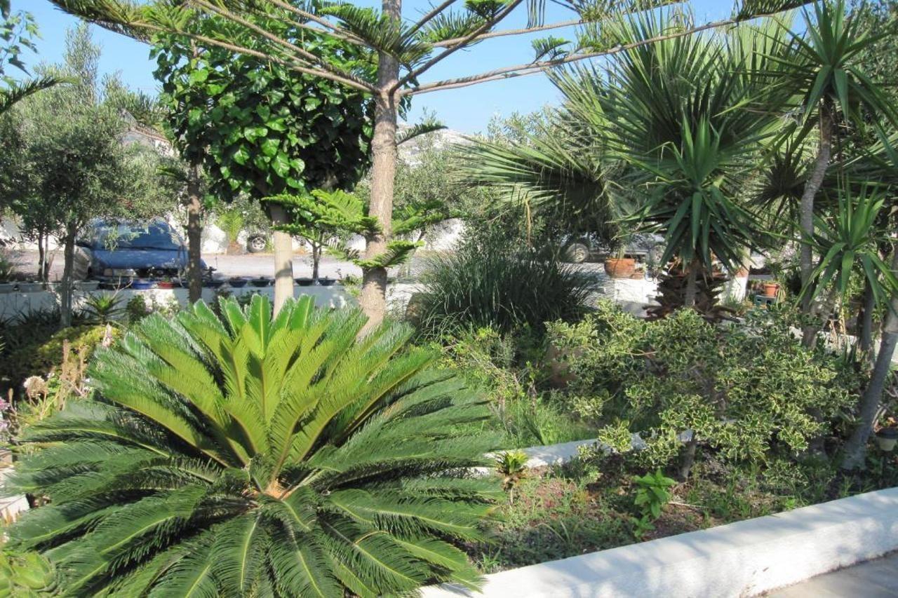 Villa Nikos Karamolegkos Kamari Exteriör bild